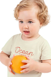 CONJ MAS CAM OCEAN E BERM MLT LISTRADO CINZA GELO