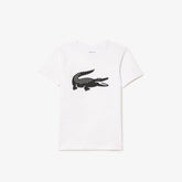 CAMISETA MASC KIDS MC LACOSTE BRANCO AU8