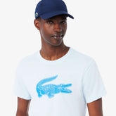 CAMISETA MAS MC LACOSTE AZUL CLARO DIK