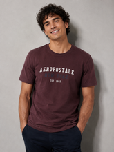CAMISETA MAS MC SILKADA AEROPOSTALE MARROM
