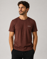 CAMISETA MC MAS 100 ALGODAO BRENDON MARROM