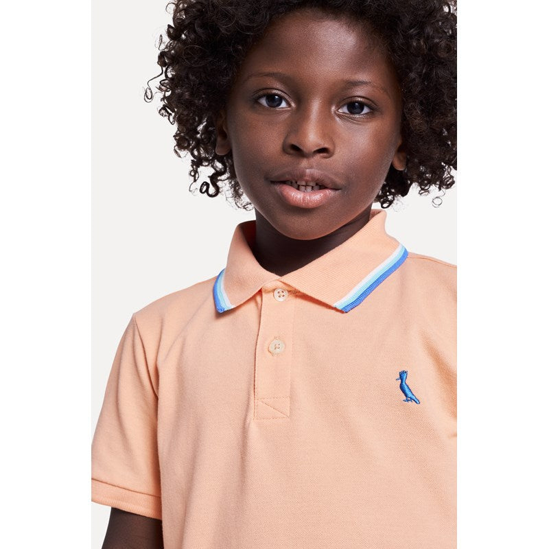 POLO RESERVA MINI PIQUET 3 FRISOS LARANJ LARANJA BERGAMOTA
