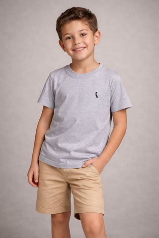 CAMISETA RESERVA MINI MAS SM PARIS CINZA MESCLA