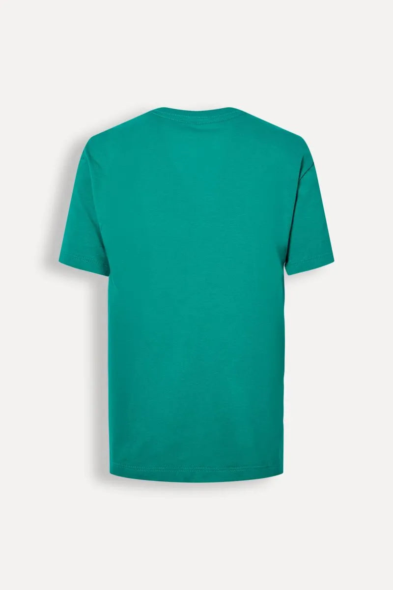 CAMISETA RSV MINI MC CARECA BASICA NATAL VERDE BANDEIRA