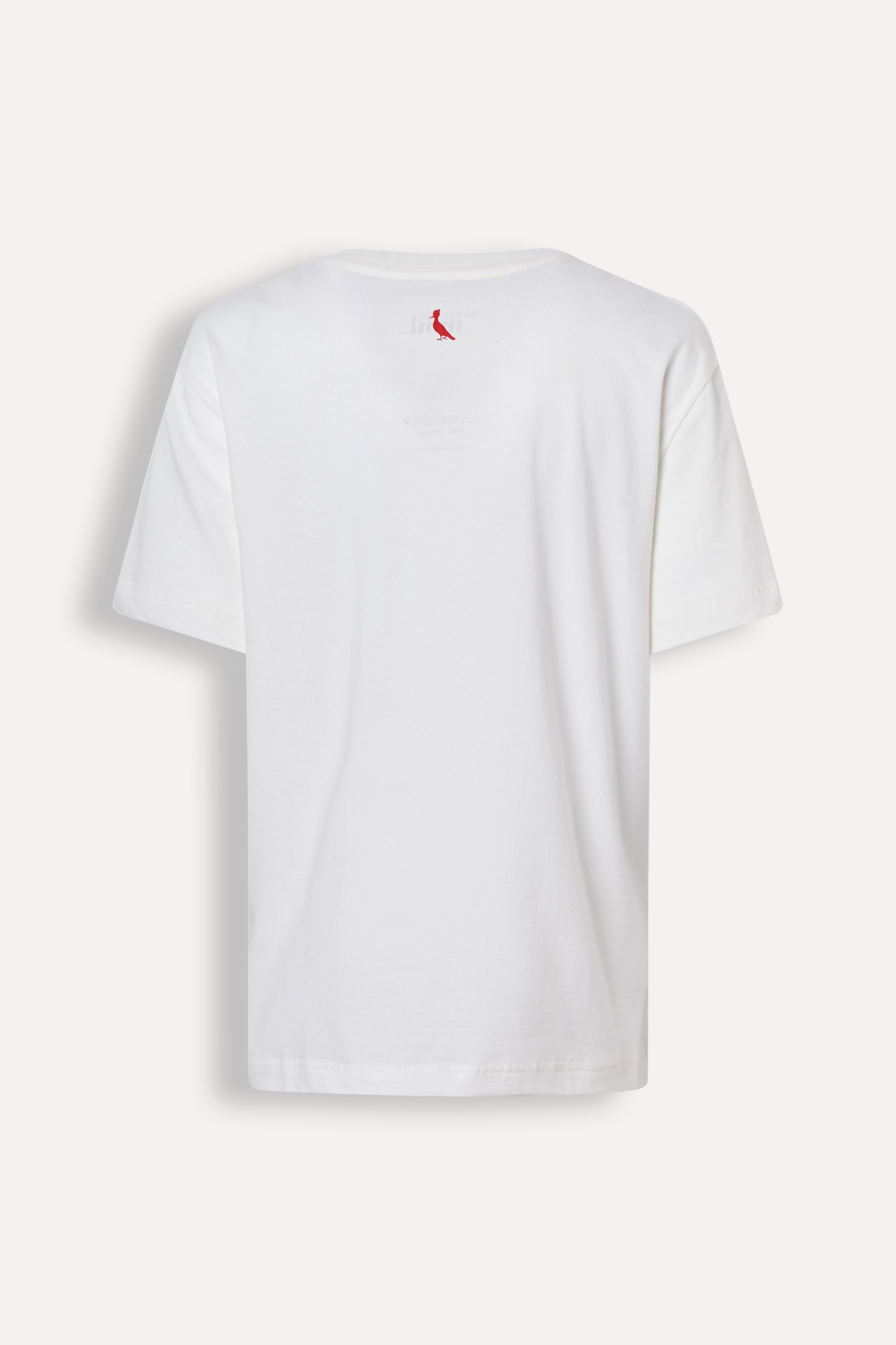 CAMISETA RSV MINI MC EST PICA PAU FOGOS BRANCO