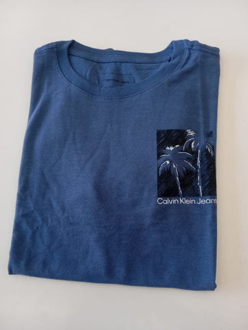 CAMISETA CKJ KIDS MAS ENDLESS SUMMER INDIGO