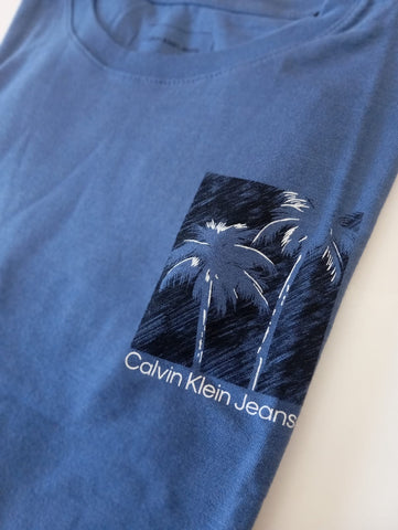 CAMISETA CKJ KIDS MAS ENDLESS SUMMER INDIGO