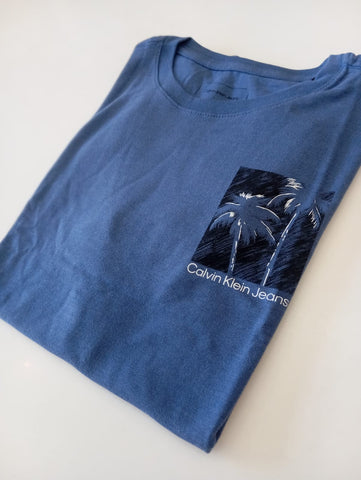 CAMISETA CKJ KIDS MAS ENDLESS SUMMER INDIGO