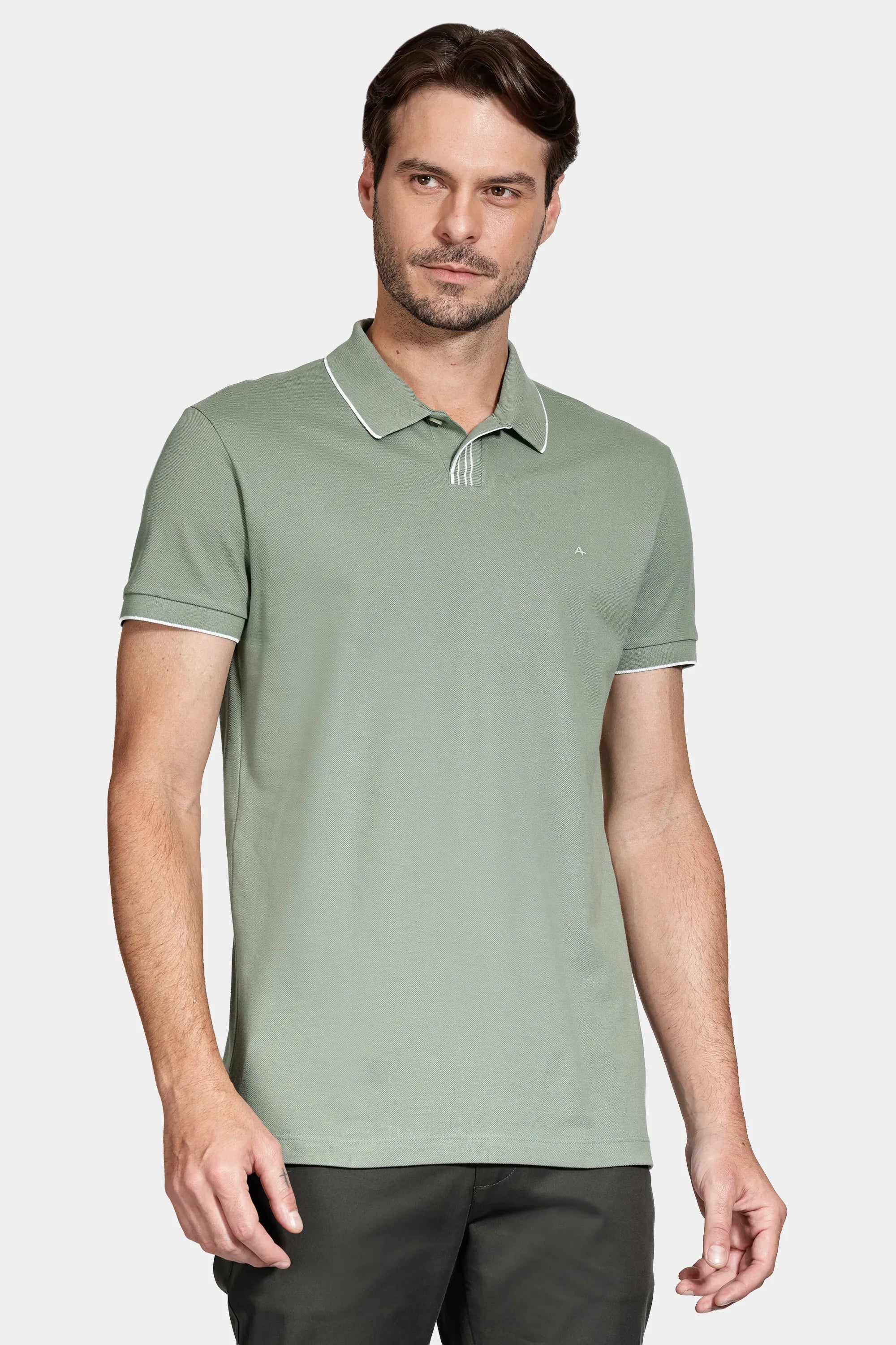POLO MAS PIQUET DETALHE RETILINEA ARAMIS MENTA