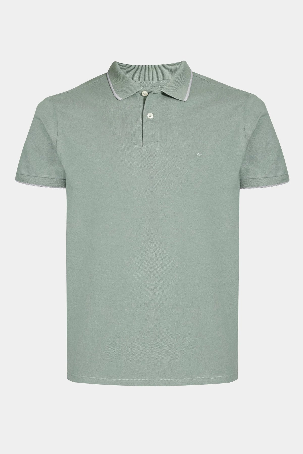 POLO MAS MC CLASSIC 1 FRISO ARAMIS MENTA/CINZA CLARO