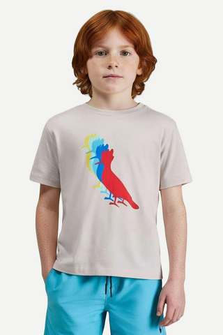 CAMISETA RSV MINI PICA PAU SUMMER BLEND BRANCO