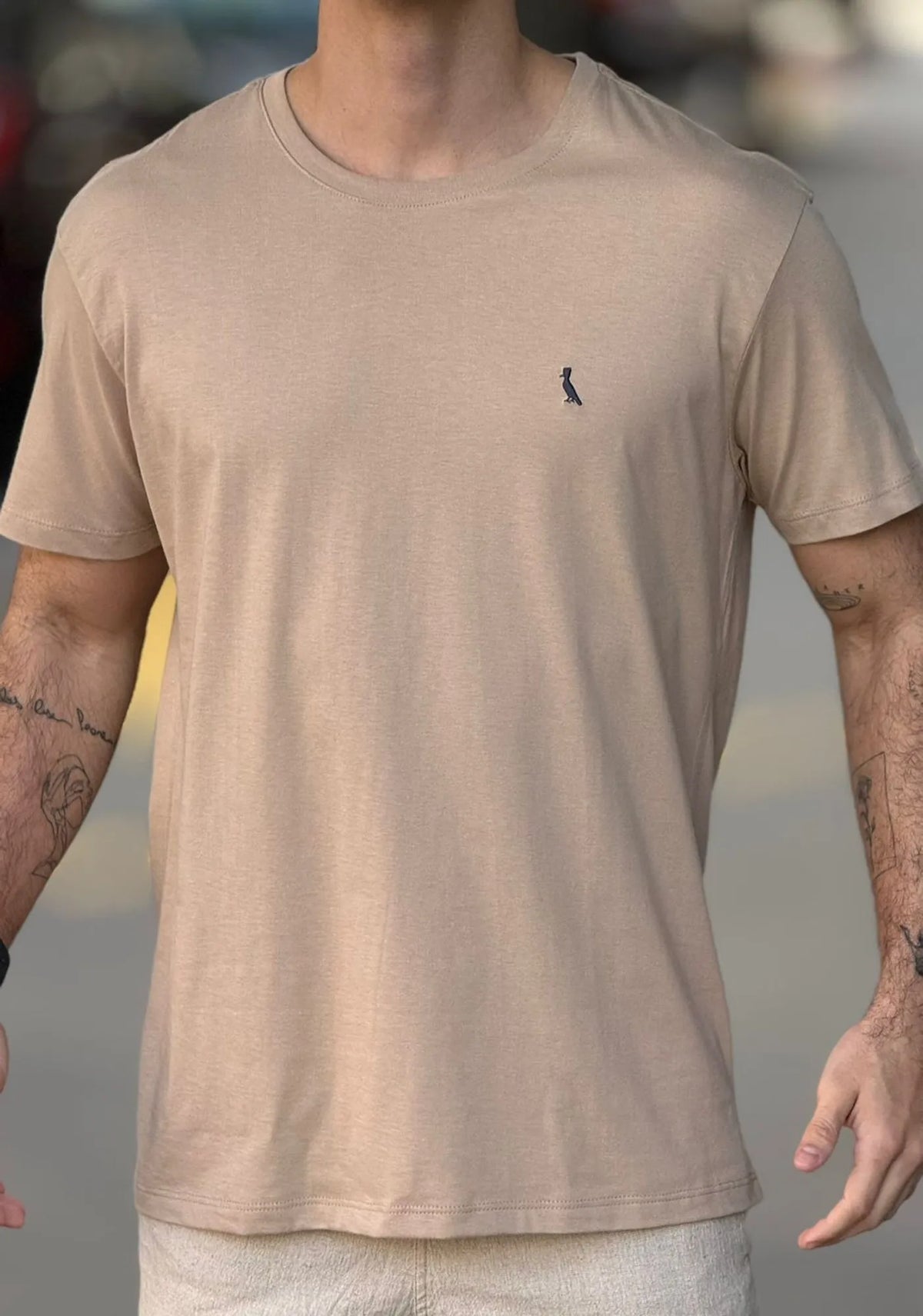 CAMISETA RSV MAS MC REGULAR CARECA GENGIBRE