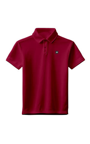 POLO MASC MC AEROPOSTALE BORDO