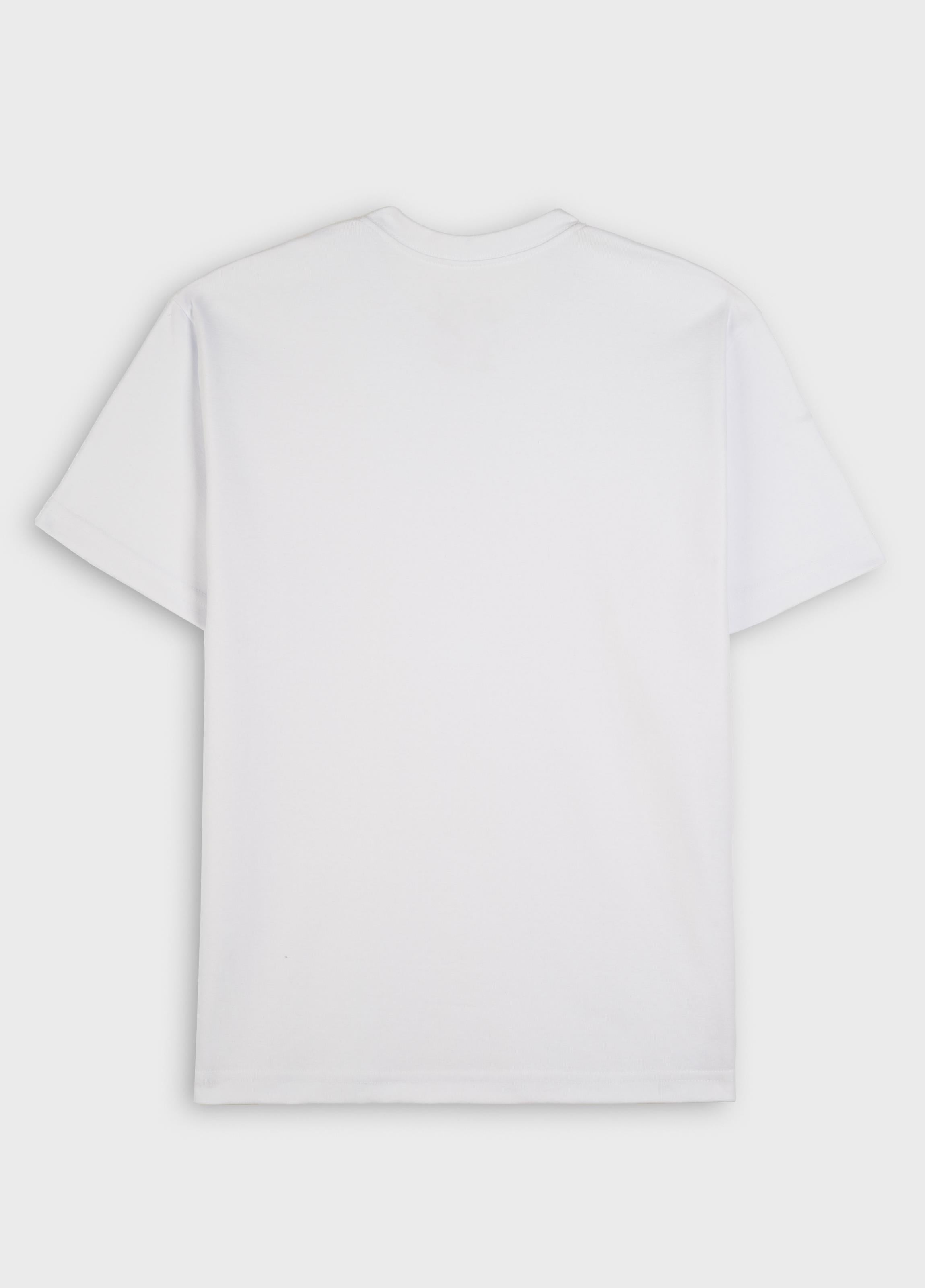 CAMISETA BIG SHIRT TRIDENTE MINI DEGRADE BRANCO