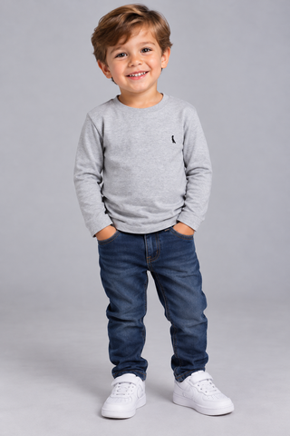 CAMISETA RESERVA MINI TP ML KIEV CINZA MESCLA
