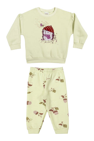 CONJ FEM BLUSAO E CALCA MLT FELP EST VERDE CLARO