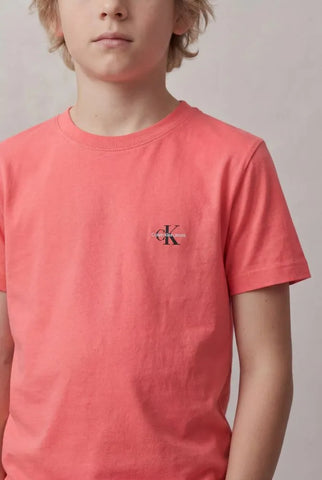 CAMISETA CKJ KIDS MAS MC REISSUE PEITO PAPAIA