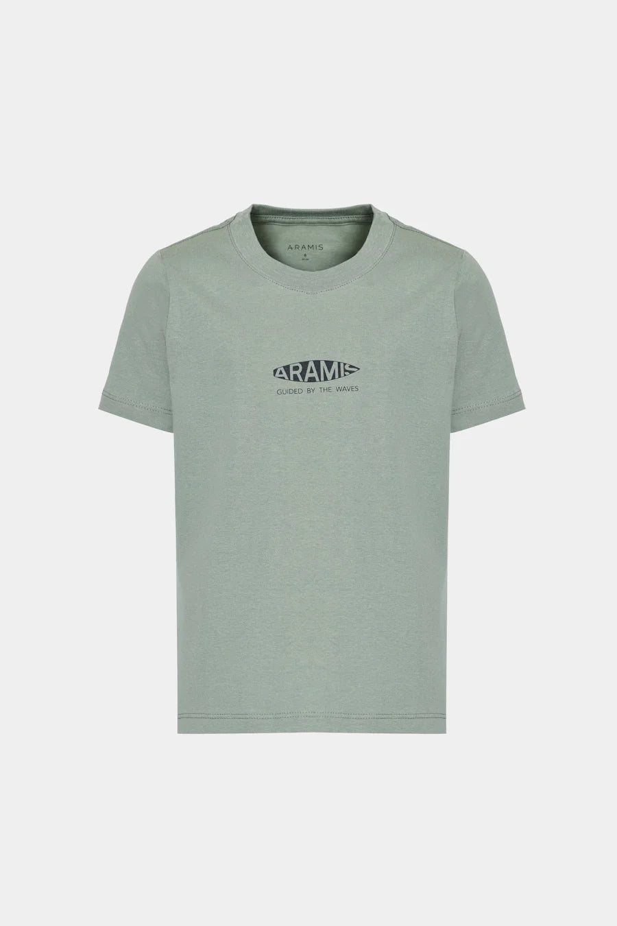 CAMISETA ARAMIS INF ESTAMPA BOARD MENTA